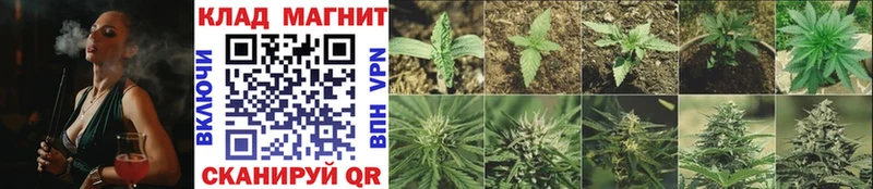 Купить наркоту Старица Марихуана  Alpha PVP  ГАШИШ 