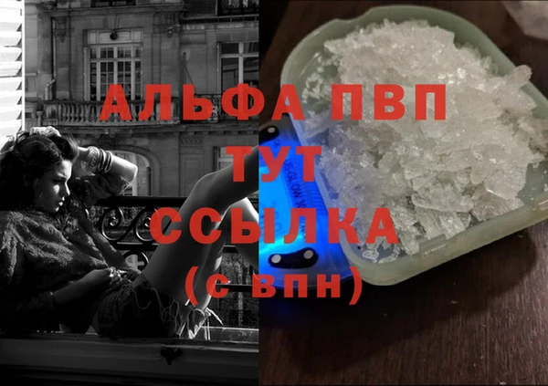прущие крисы Бородино