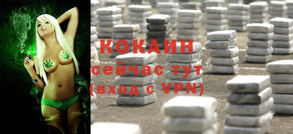 прущие грибы Володарск